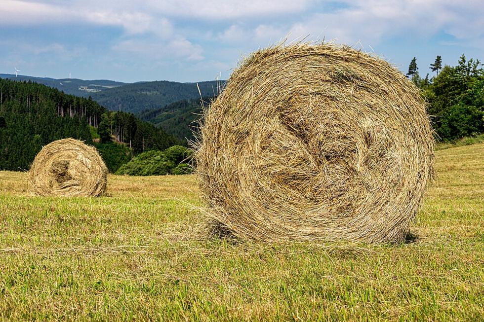 Heuballen in Höllstein gestohlen und verloren
