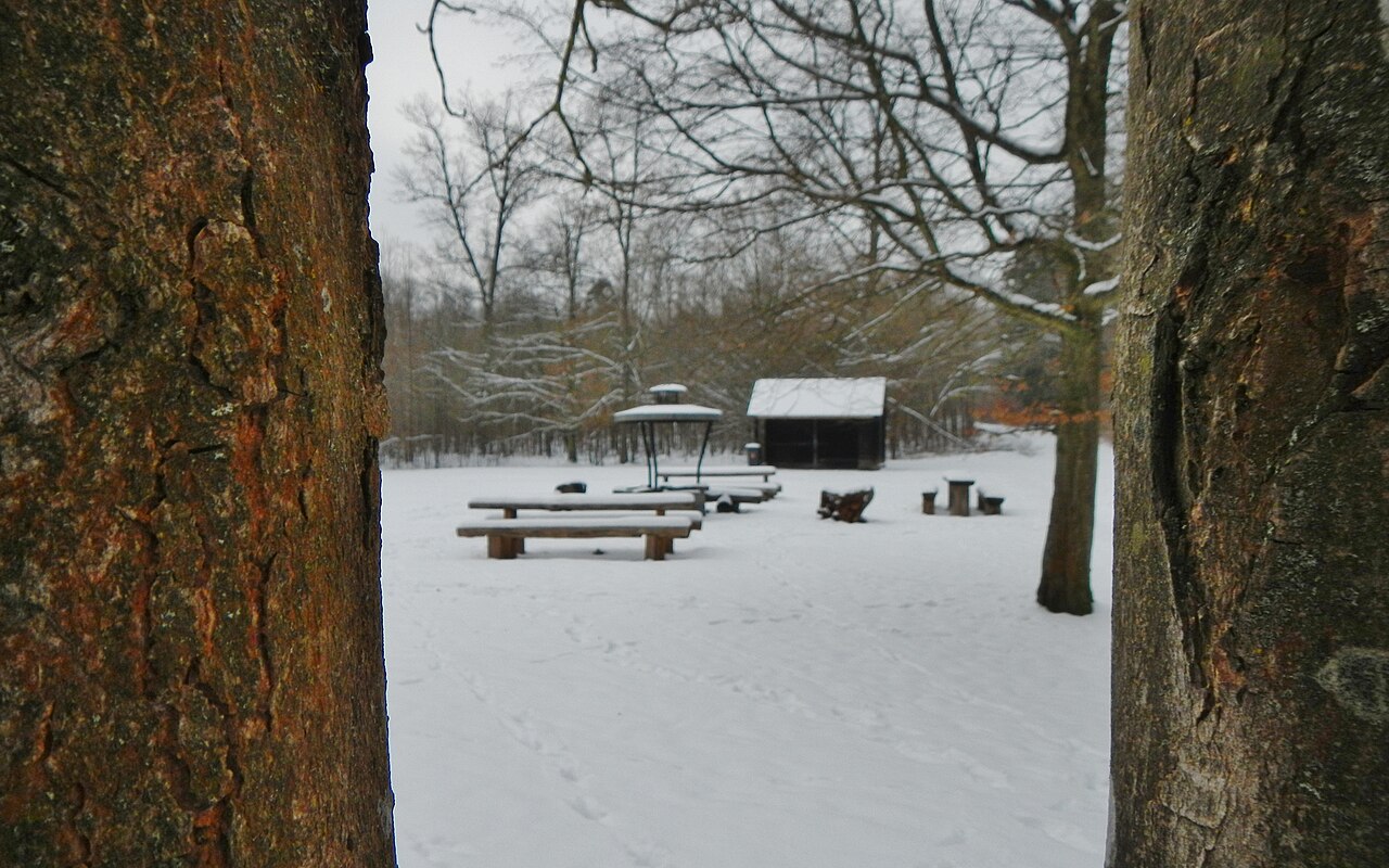 Grillplätze in Gerlingen gesperrt