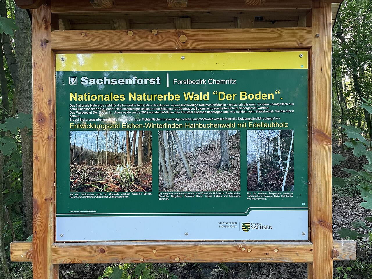 Neuer Schonwald Frohnholz bei Freiburg geschützt