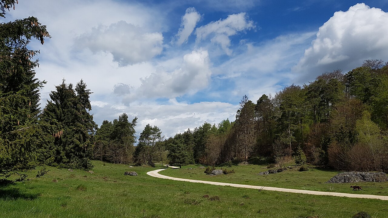 Neues Naturschutzgebiet Limbachsleite in Werbach