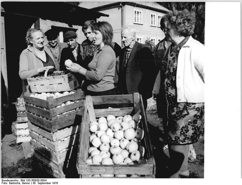 Aichtaler Apfelaktion startet