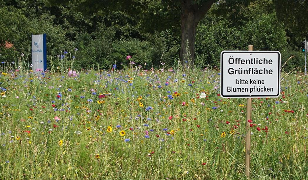 Sonnenbühl verbietet Grünflächen zu bewässern