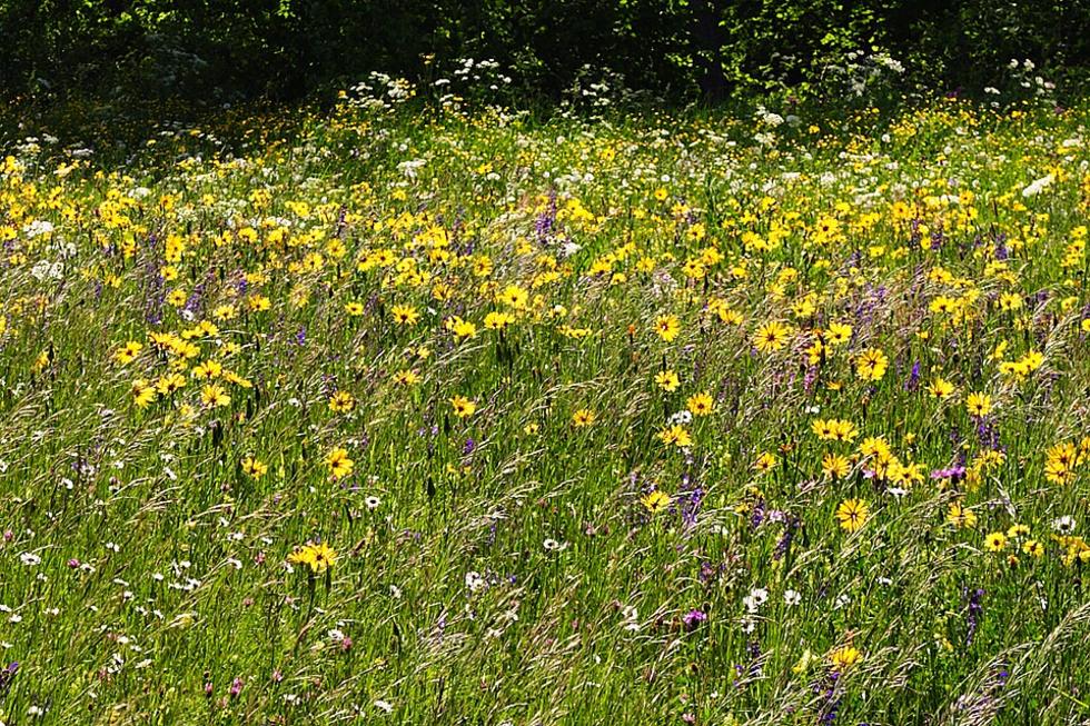 So beeinflusst Baden-Württembergs