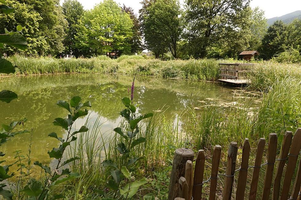 Märchenhafte Kräuter-Tour am 19. September in Hüfingen