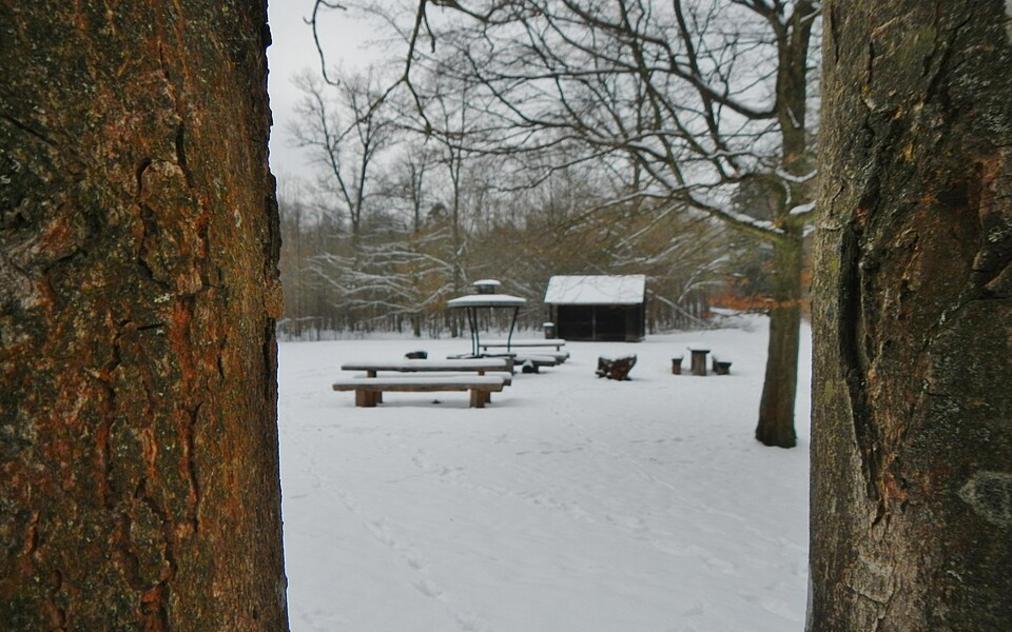 Grillplätze in Gerlingen sind jetzt wieder offen