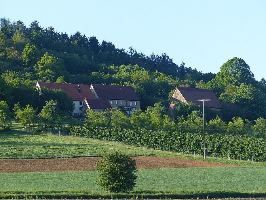 Gemeinderäte ernten Wein: 37. Weinlese feiert Erfolg