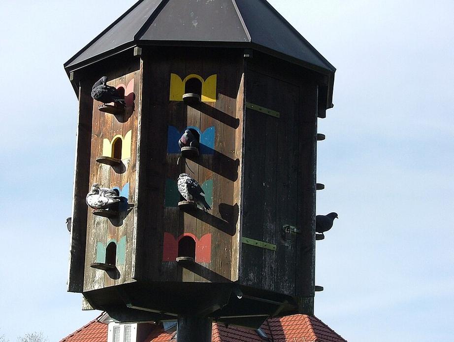Neues Taubenhaus schützt Gaggenau vor Verschmutzung