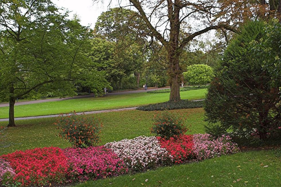Neue Regeln für den Stadtpark Alter Friedhof