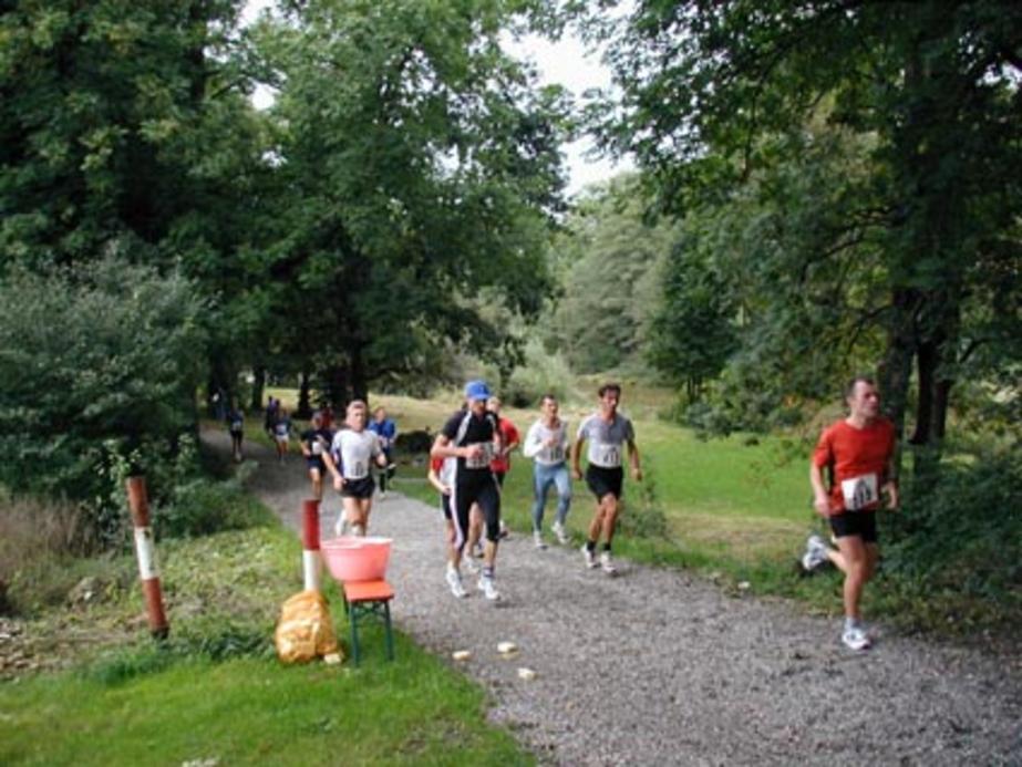 Bodensee Marathon und Straßenfest in Kressbronn starten