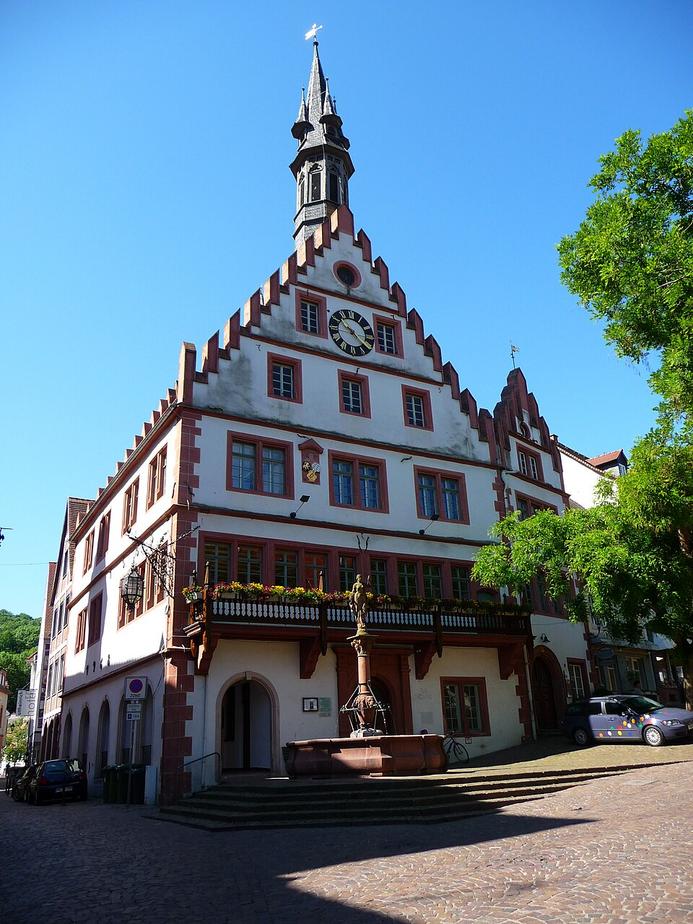 22 junge Talente starten bei der Stadt Weinheim
