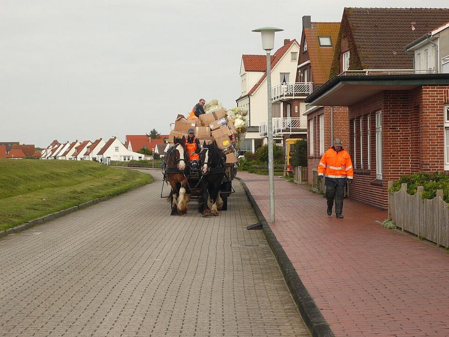 Freie Fahrt für die Müllabfuhr im Landkreis