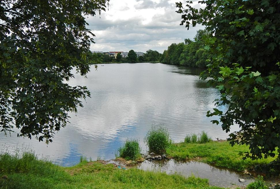 Kofenweiher: Fischsterben gestoppt, Schutz geht weiter