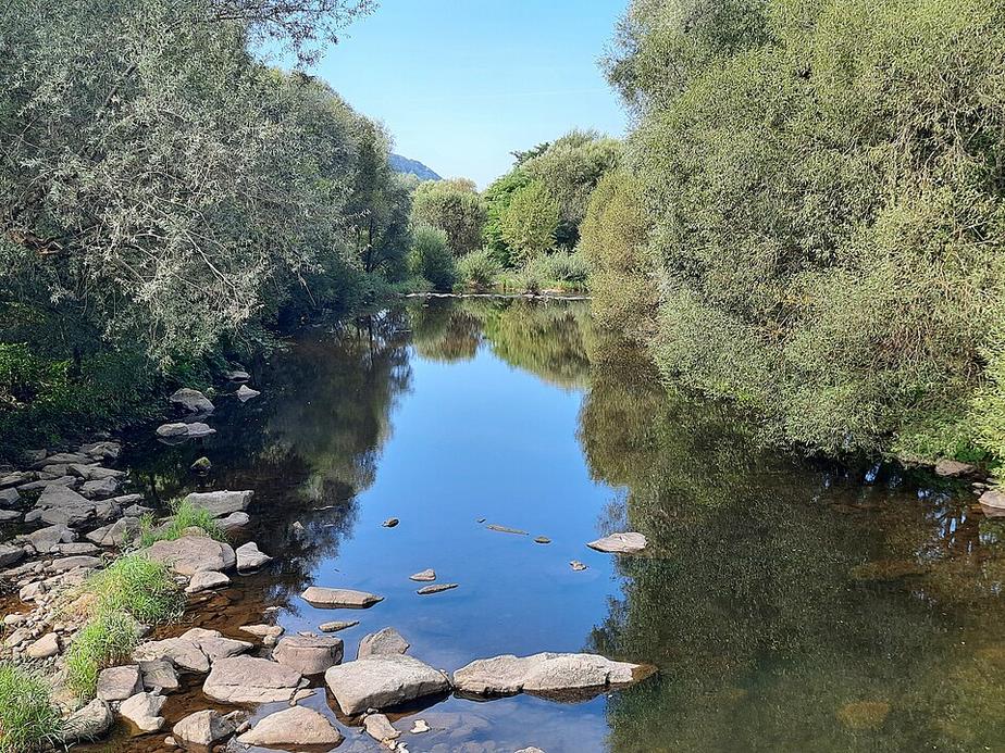 Wiese bei Maulburg wird zum neuen Zuhause für Fische