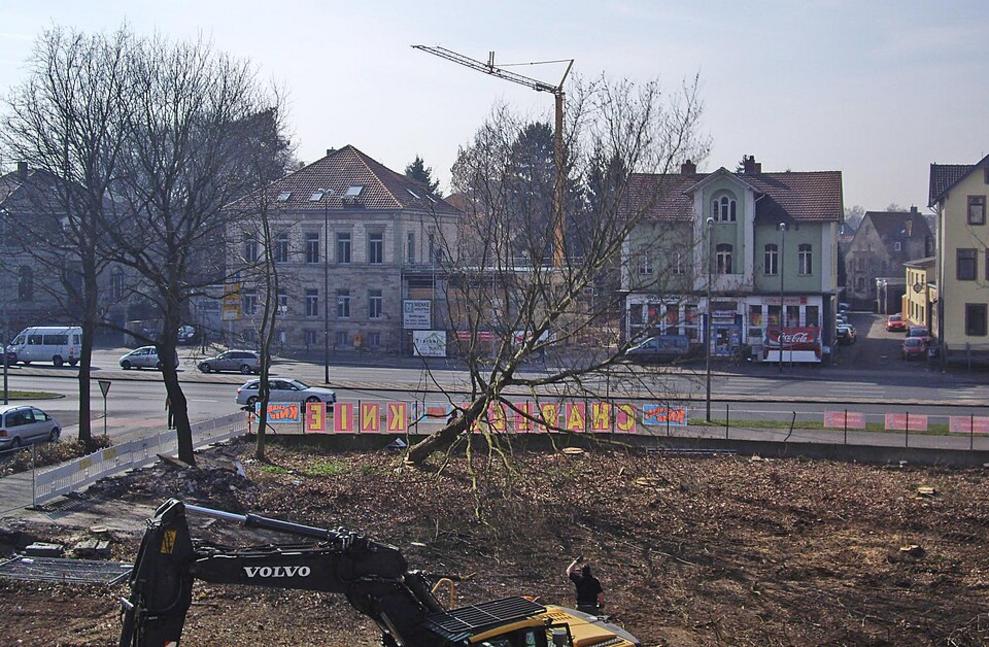 Baumfällung vor Schule in Stetten startet bald