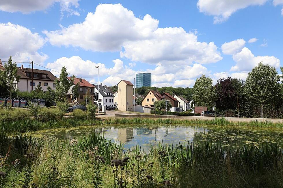 Berkheimer See erholt sich – kleine Natur-Oase lebt