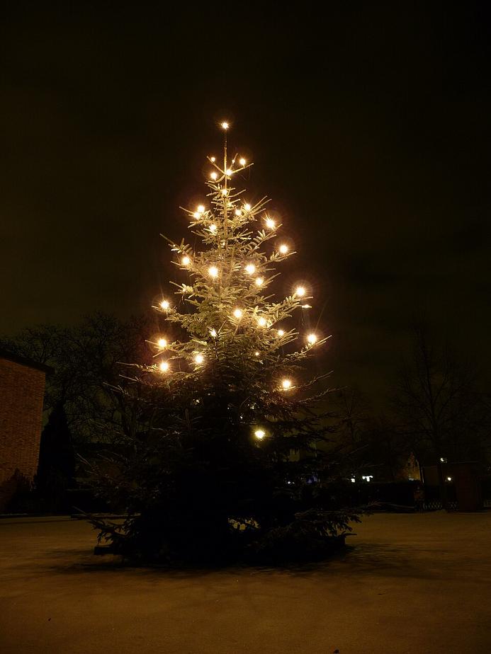 Heidenheim sucht große Weihnachtsbäume für den Winter