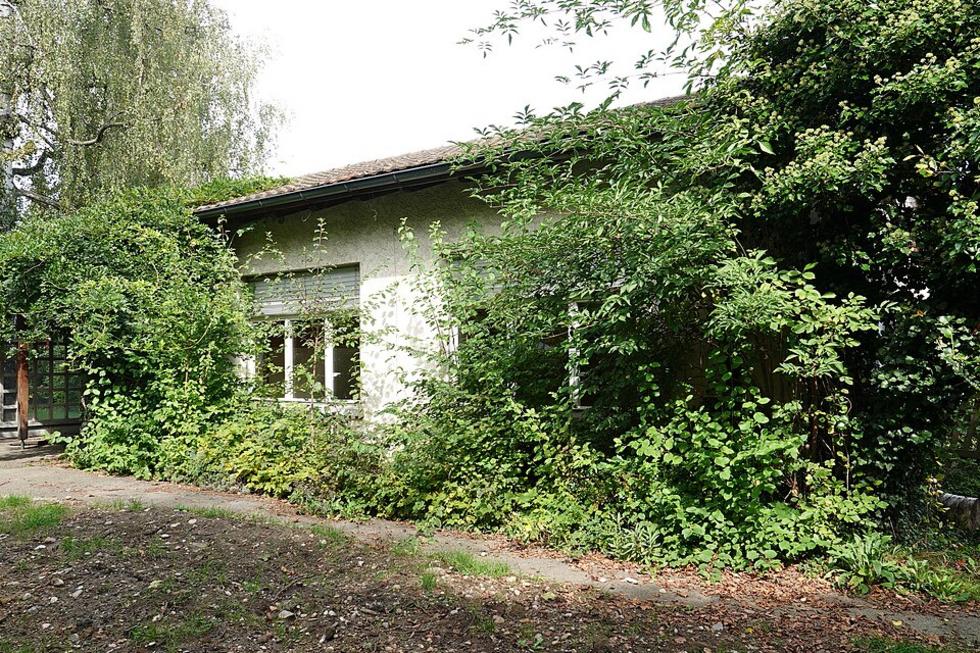 Holzgerlingen: Spende sichert Naturprojekt