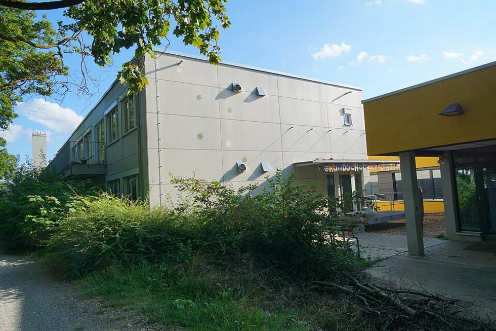 Mehr Grundschulen bieten nun Schwimmunterricht an