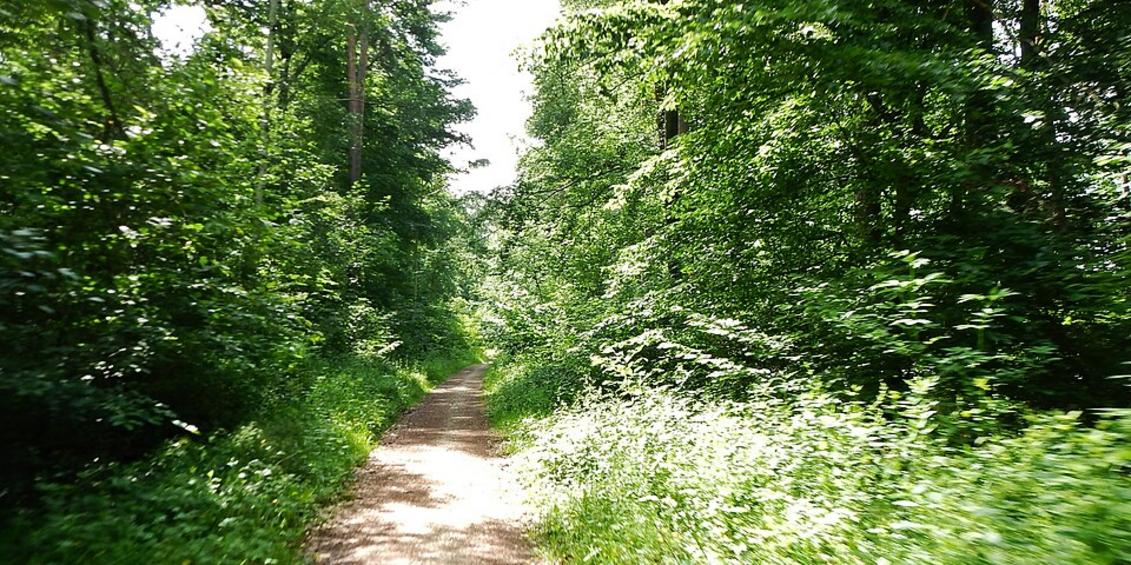 Weinstadt lädt zur 19 km Wanderung am 3. Oktober ein