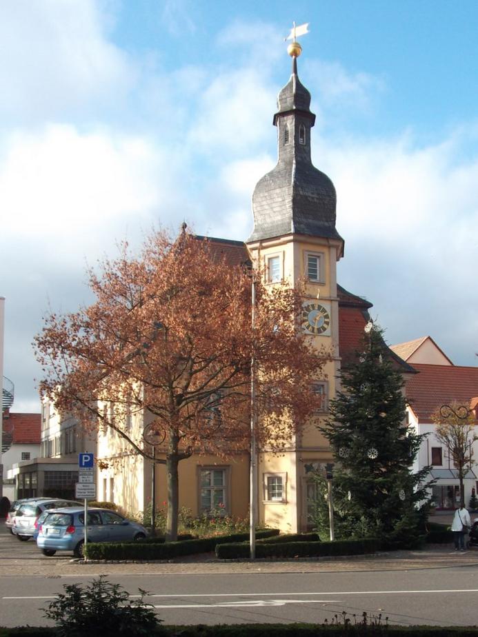 Heddesheim bietet kostenlose Energieberatung an