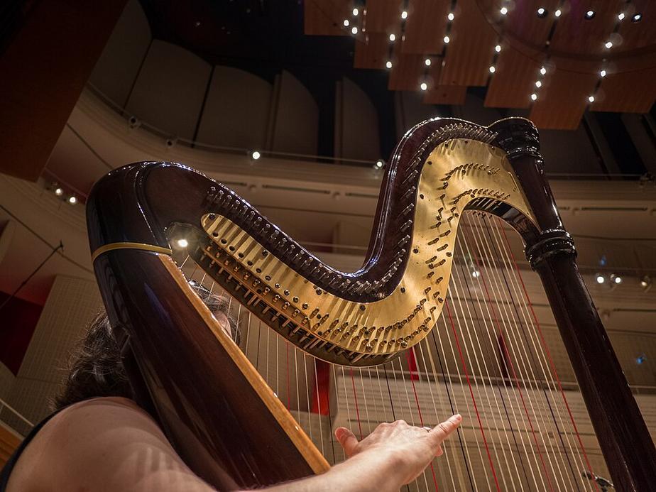 Bodensee-Philharmonie spielt am 25. Oktober
