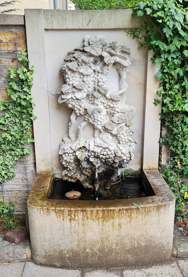 Gerlingen zeigt Ausstellung „Natura“ ab 25. September