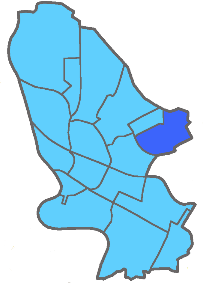 Pkw brennt in Mannheim-Wallstadt komplett aus