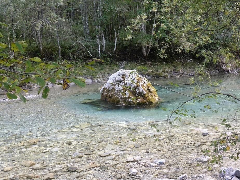 Fische sterben nach Gülle-Unfall in Ostrach