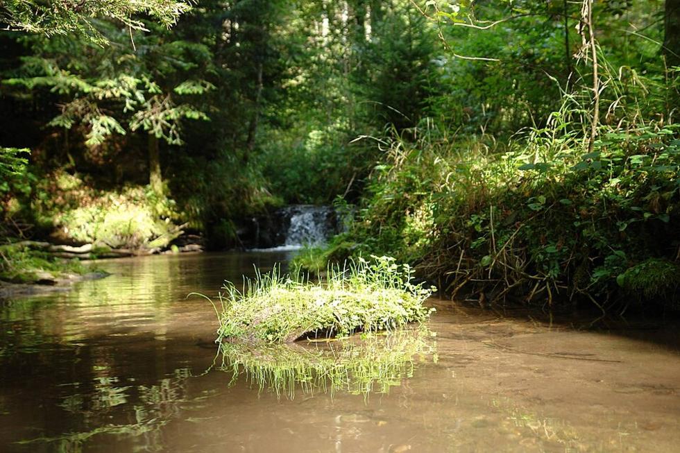 Diebe stehlen Bordcomputer und Leiter in Rötenbach