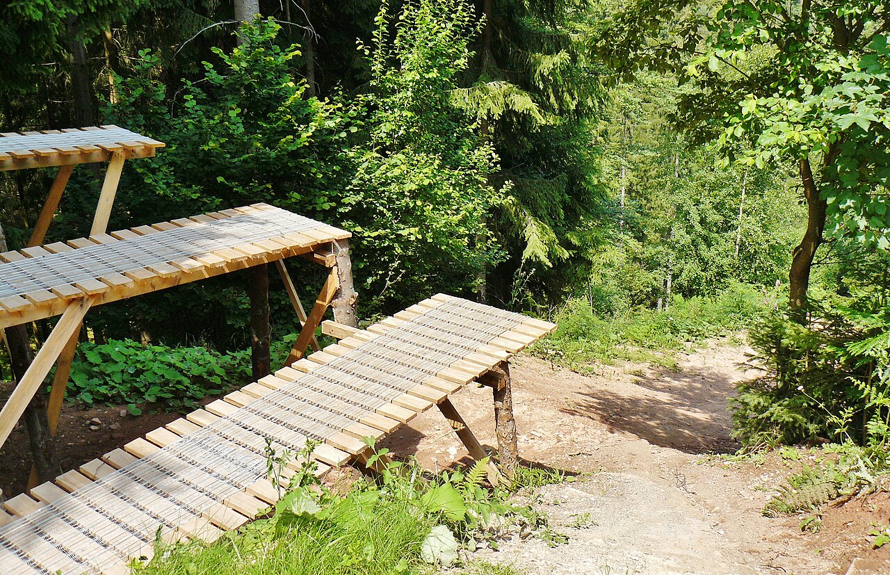 Neuer Bike-Park in Aich? Das steckt dahinter!