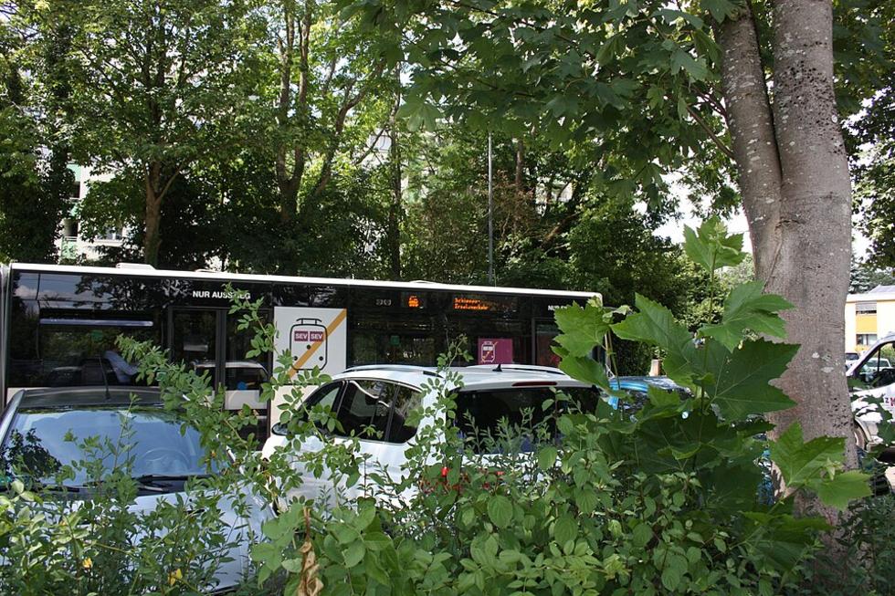 Polizei nimmt 21-Jährigen in Freiburg-Landwasser fest