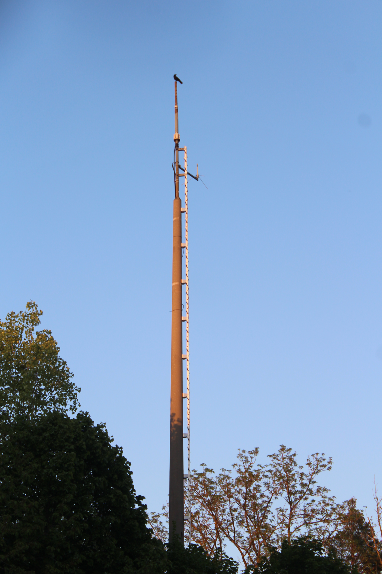 Neuer Funkmast in Waldenbuch: Was bedeutet das für Sie?