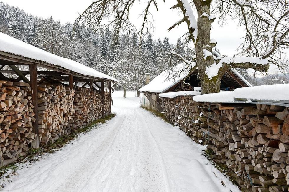 Gaggenau startet Brennholzverkauf für Winter 2026
