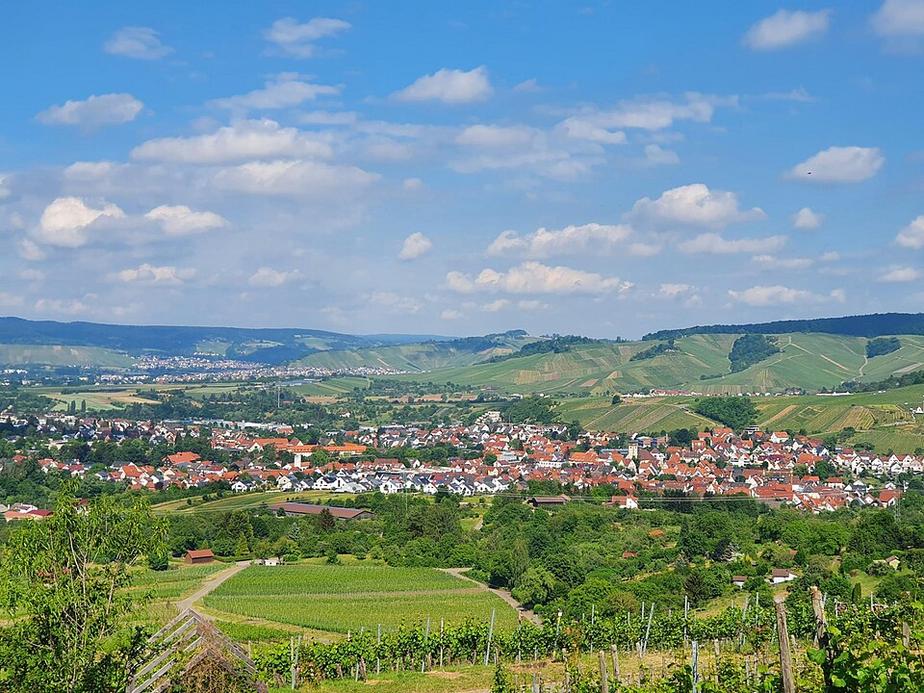 Weinwinter startet am 25. Oktober in Weinstadt