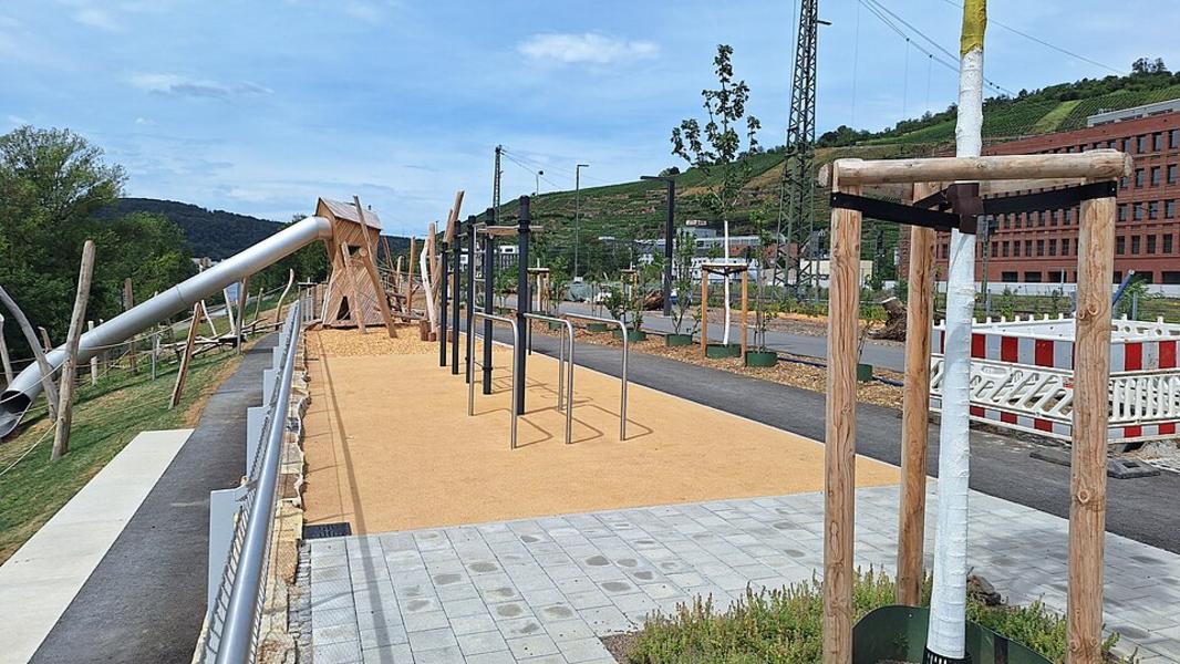 Neckaruferpark blüht und wird gut genutzt