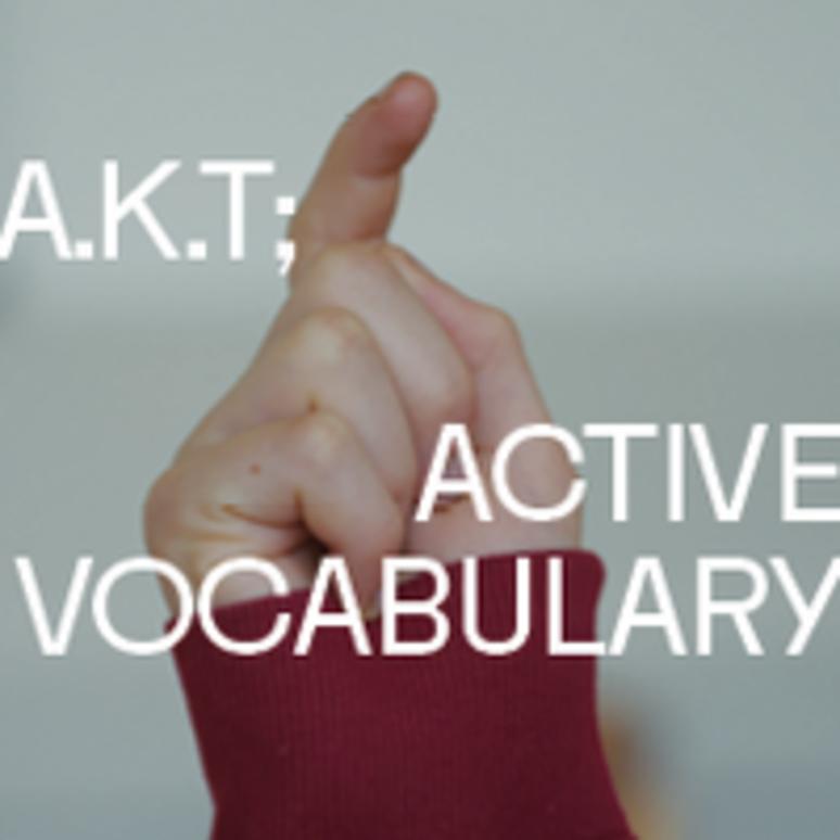 ACTIVE VOCABULARY