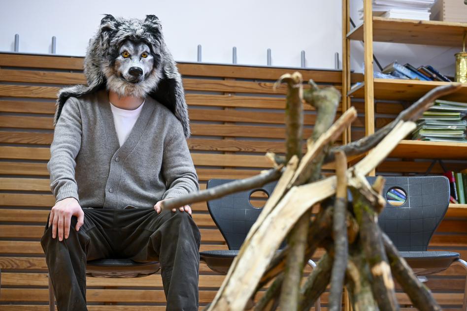 Wolf