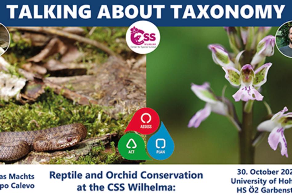 Talking about Taxonomy: Reptile and Orchid Conservation