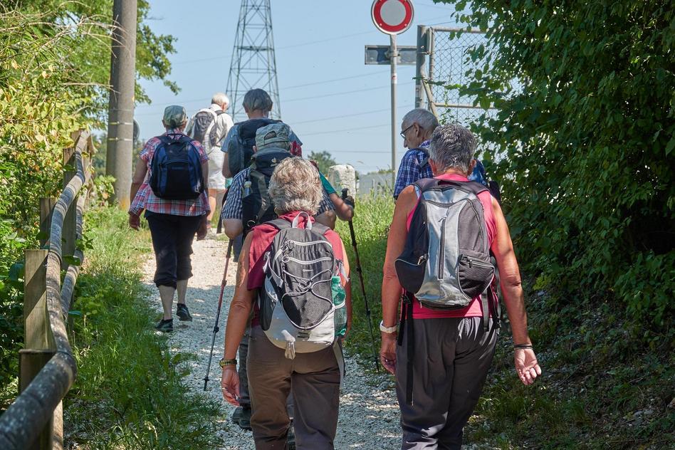 Wandern in Gesellschaft