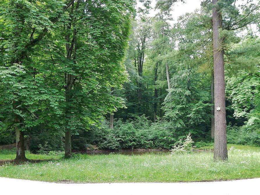 Pilzwanderung im Schurwald