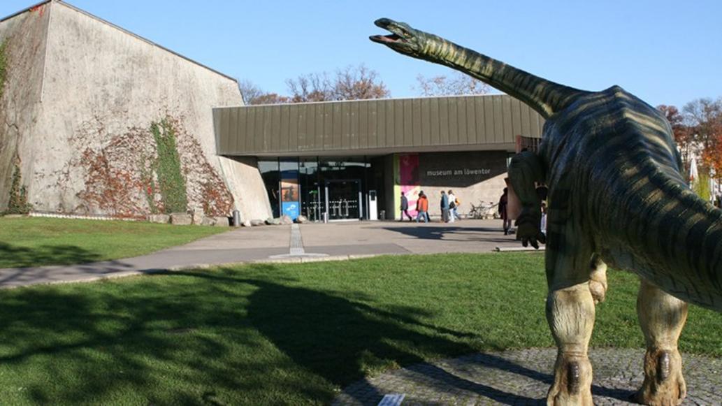 Staatliches Museum für Naturkunde - Museum am Löwentor - Dauerausstellung