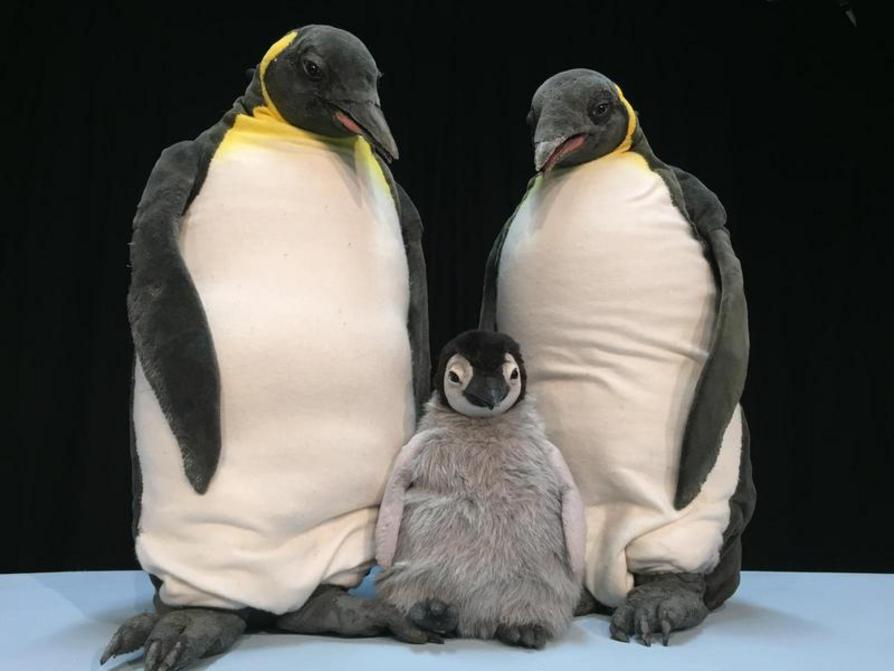 Pit Pinguin (ab 3)