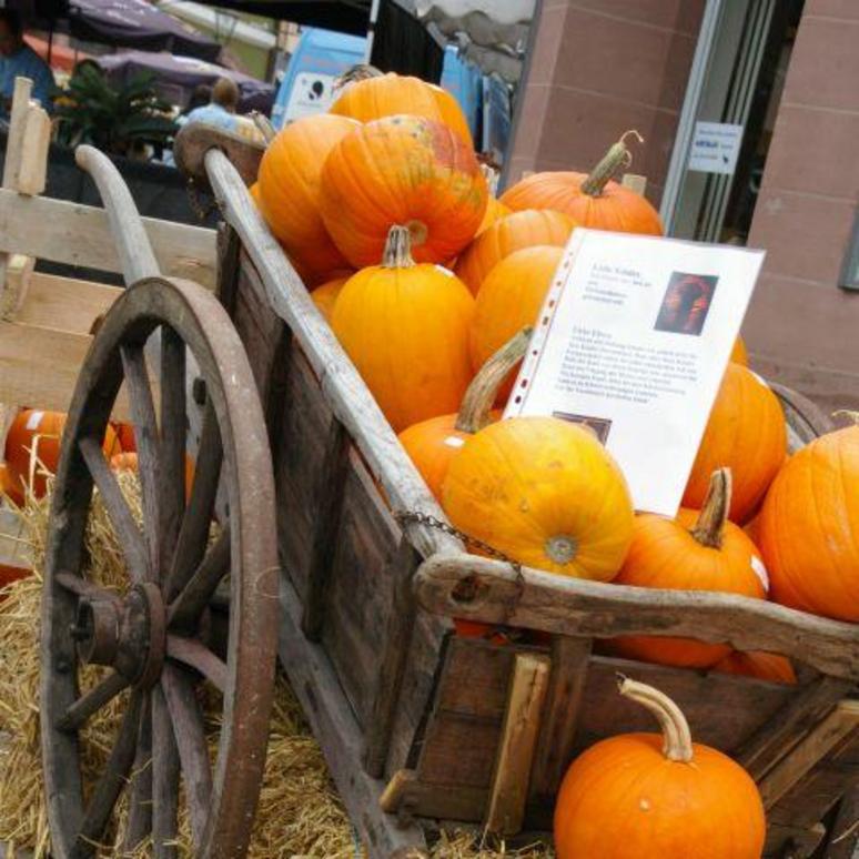 Herbstsamstage in Ettlingen