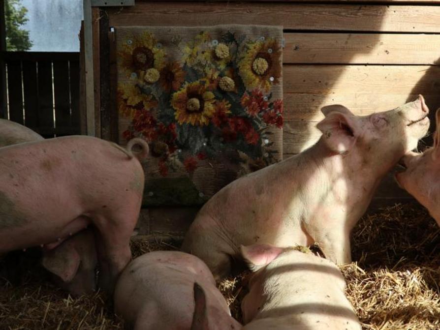 Eröffnung der neuen Sonderausstellung: „Großer Leberwurstaufstand“