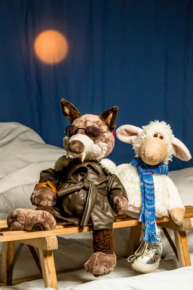 Ein Schaf fürs Leben