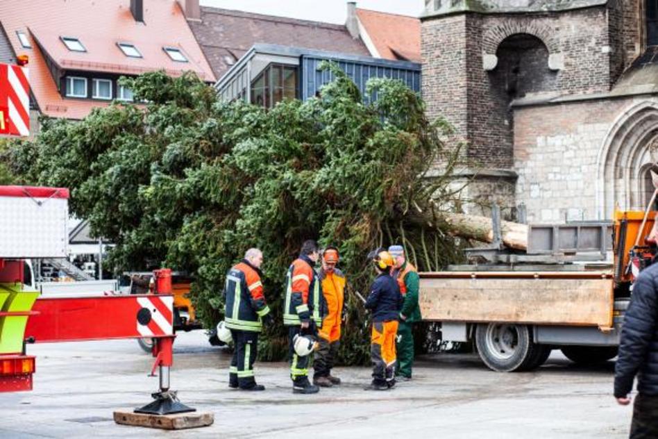 Weihnachtsbaumsetzung