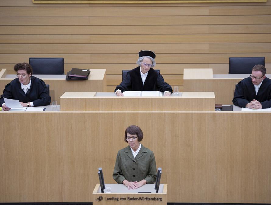 Die Ermittlung