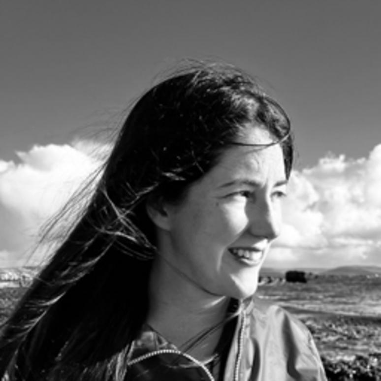 Irish Poets in Conversation: Transnational Poetics of Extinction