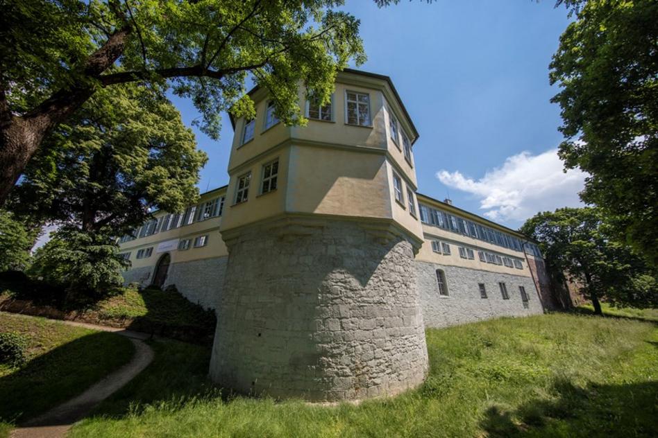 Stadtführung: Durch Altstadtgassen und Schlossgemächer