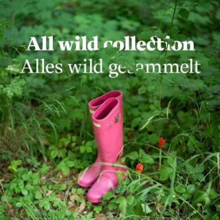Alles wild gesammelt - Sammeln als globales Phänomen unserer Zeit